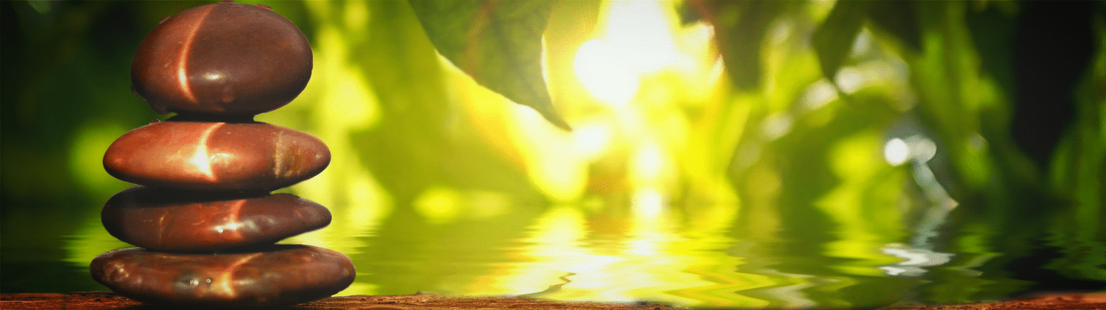 Vinterens Te Workshop/Foredrag