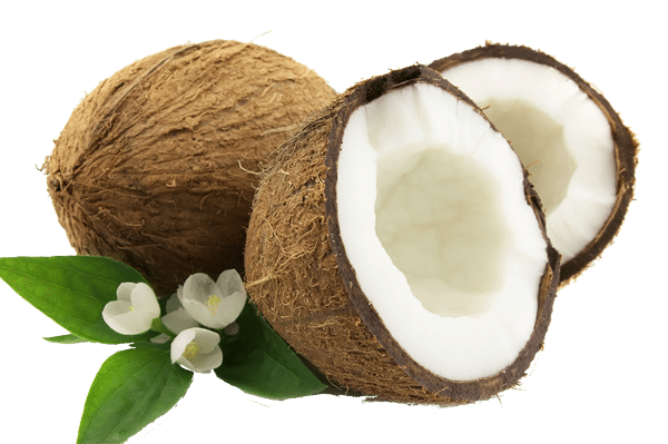 Massage & Fysioterapi: Smoothie med kokosmælk